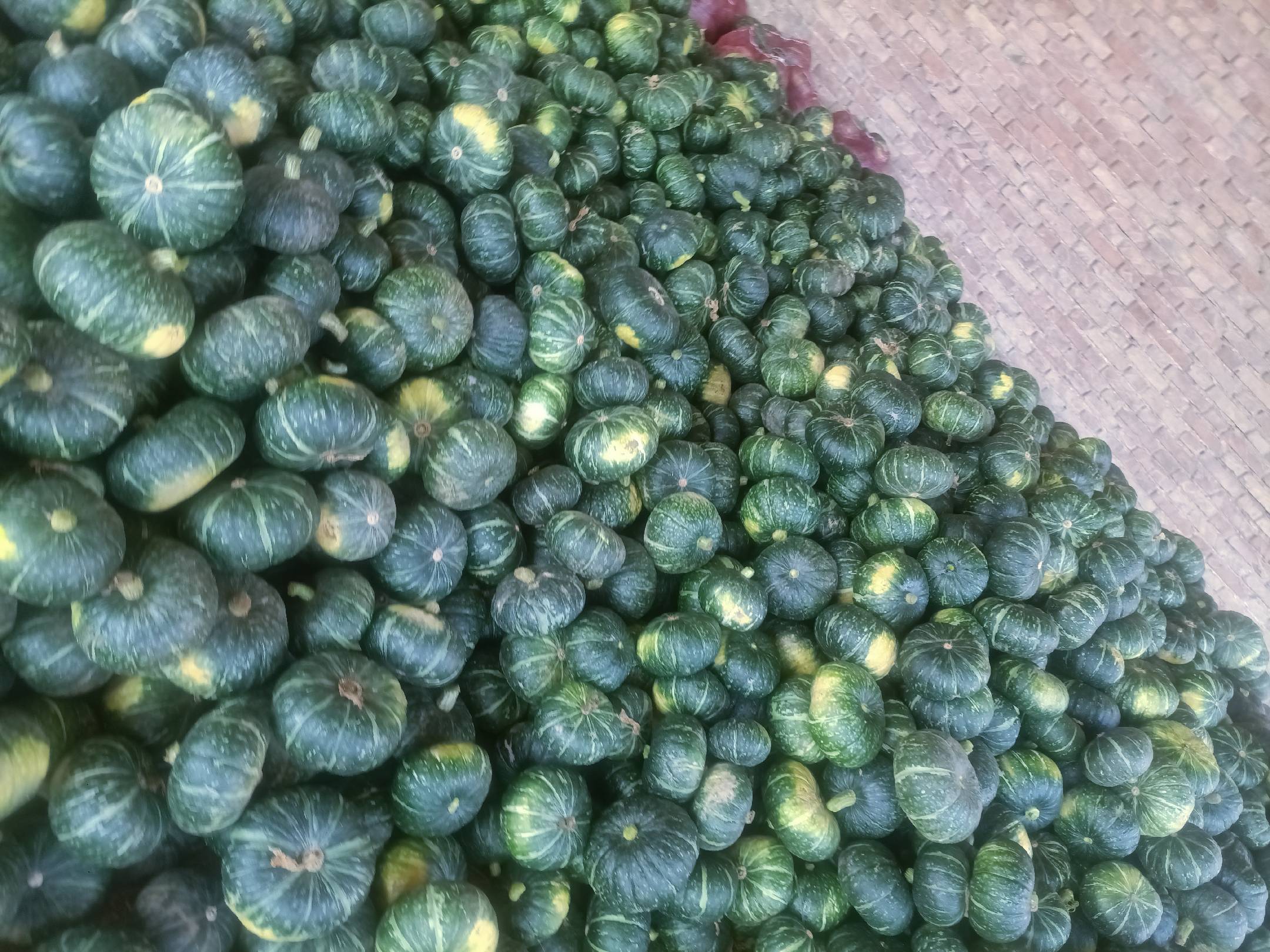 丰收场景：戴草帽的有机农场主双手托起一只硕大成熟的有机板栗南瓜，笑容朴实，南瓜表皮已转为温暖橘金色，表面有自然木纹状浅沟与细微糖斑，背景为层叠起伏的秋日丘陵与蓝天