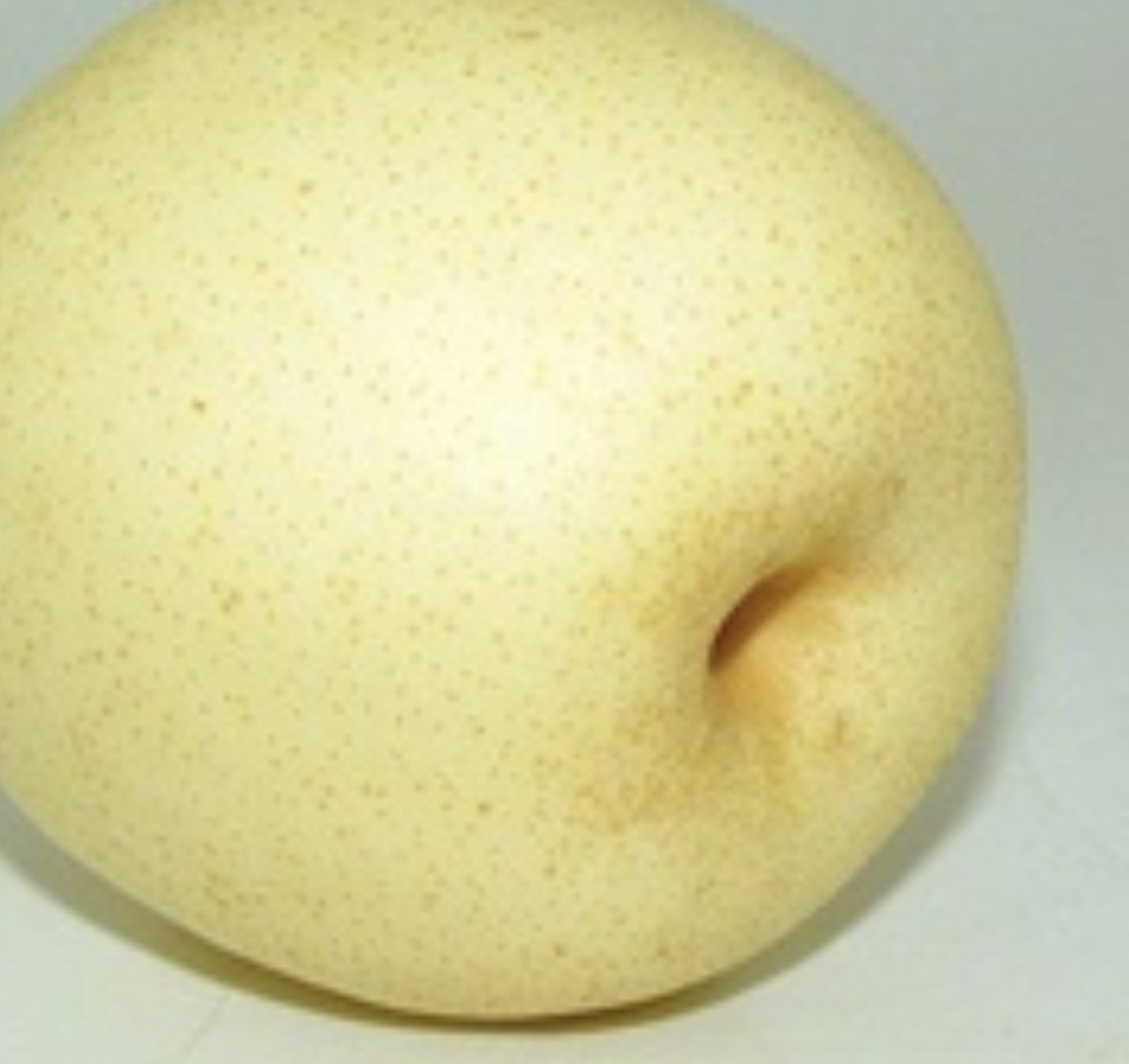 皇冠梨与砀山梨果肉结构对比图