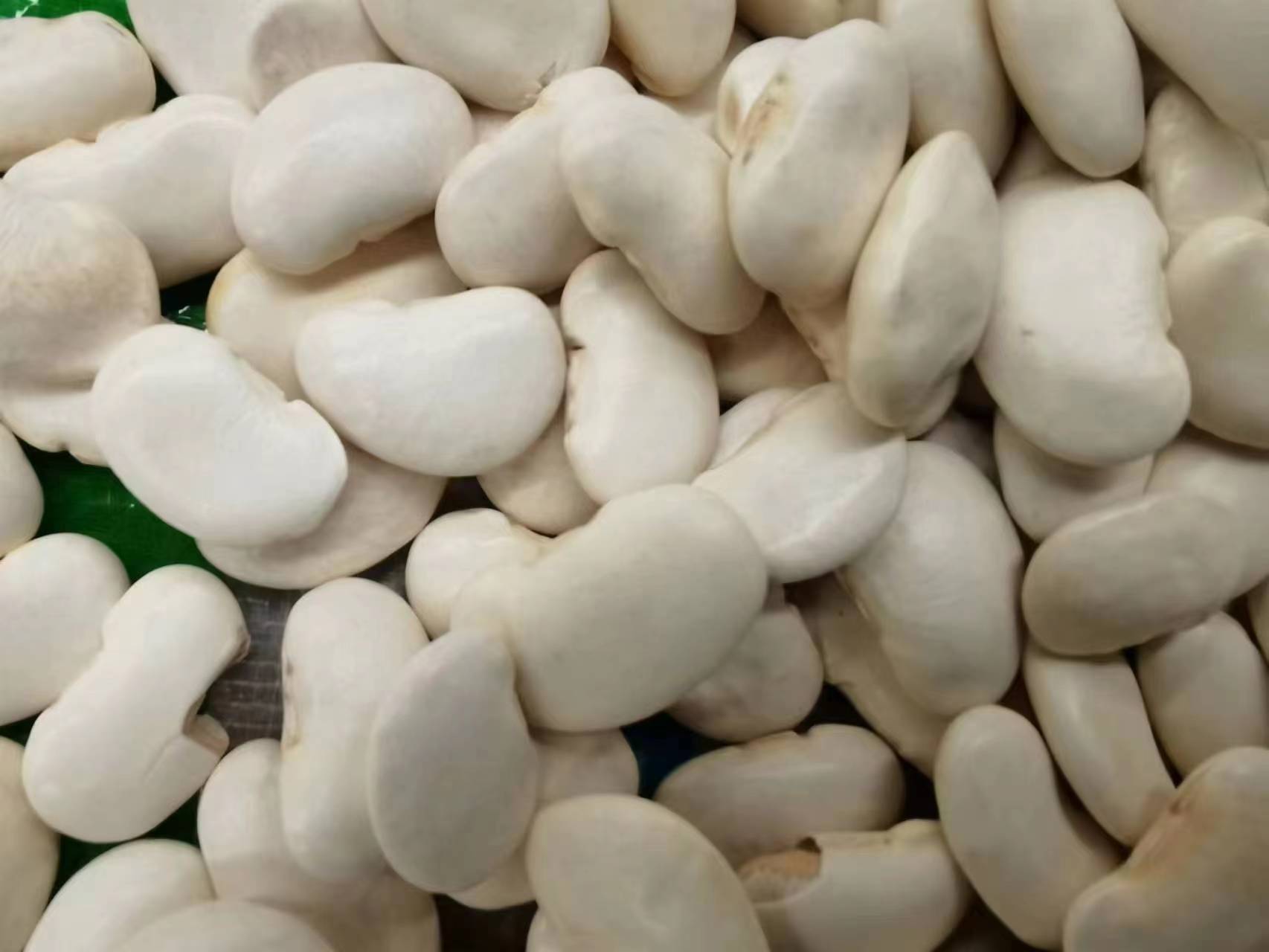 正在锅中煮熟的蚕豆特写 蚕豆烹饪过程图