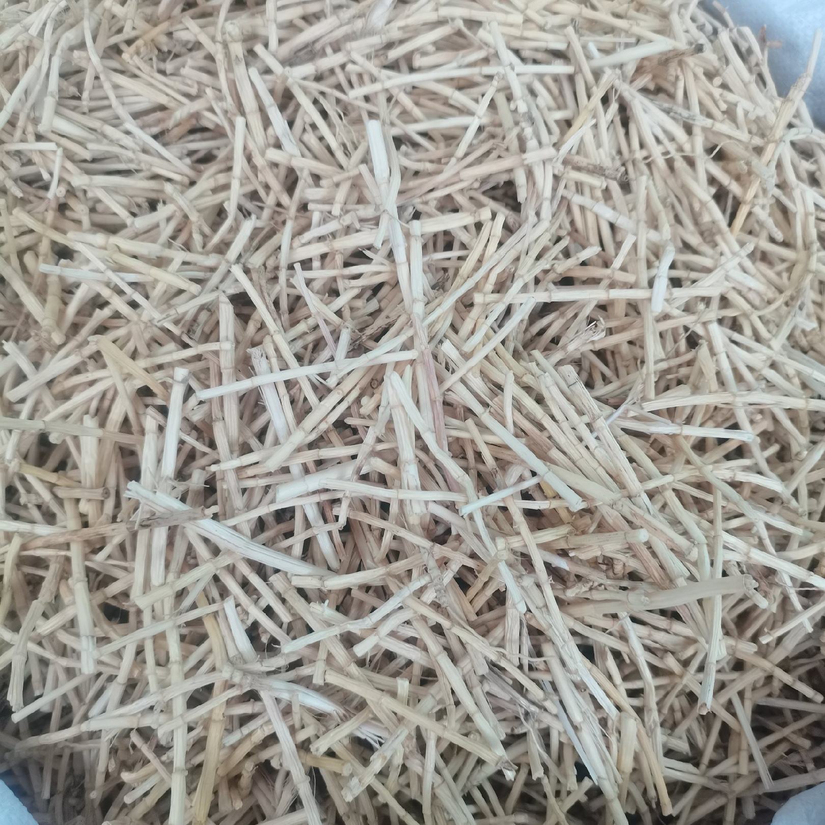 [白茅根批发]广东广州荔湾区白茅根 9.50元/斤茅根 无硫白茅 _ 一亩田