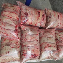 新鲜鲤鱼鱼籽鱼白黄籽白籽工厂直供批发
