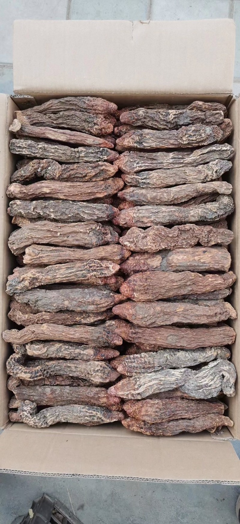 甘肃锁阳肉苁蓉