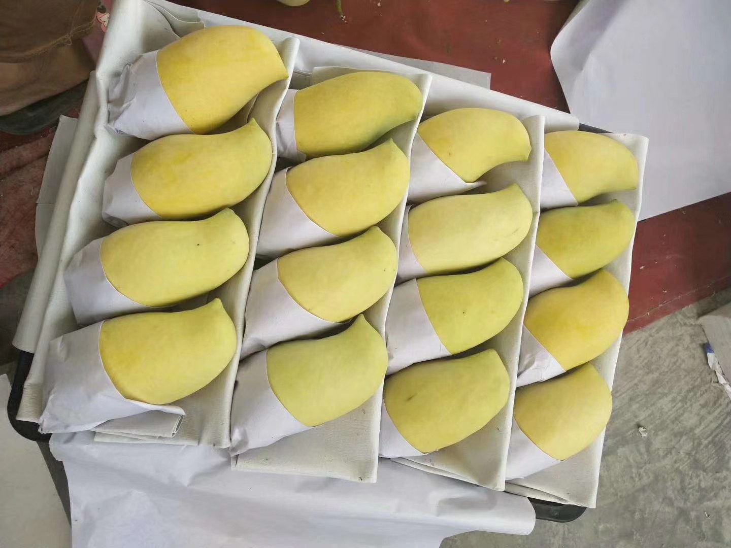 一张木质桌面上摆放着两个打开的鹰嘴芒果礼盒,盒内整齐排列着四颗完整芒果,旁边有一盘切开的芒果肉,露出金黄细腻的果肉和小巧的果核,背景虚化的超市货架显示‘新鲜芒果专柜’字样 鹰嘴芒果礼盒与切开展示图