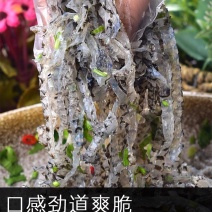 连云港海鲜泡椒鱼皮开袋即食