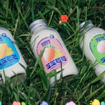 高毛利网红酵醒一只羊酸奶甄选优质奶源餐饮商超特通赚钱产品