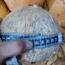 老椰子未打磨