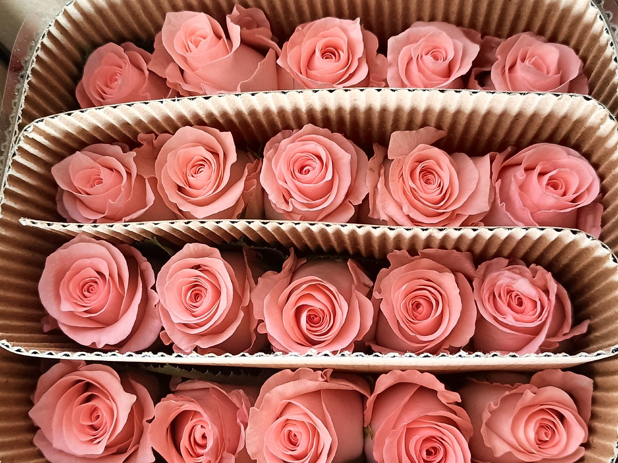 四季玫瑰花艺设计作品