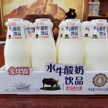 16.5东营厂家新货水牛酸奶