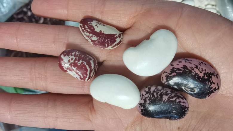 五香蚕豆成品图