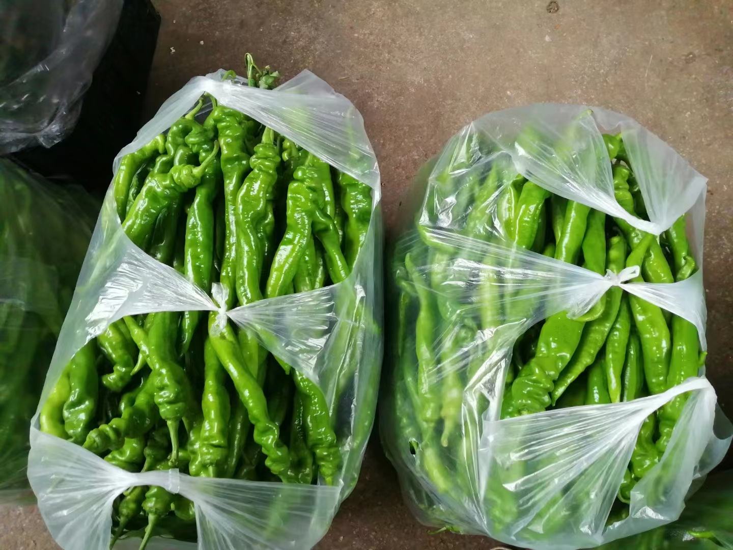 密封罐装的高品质柬埔寨红胡椒产品展示