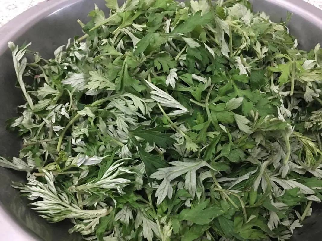 一位女性正在浴室中将棕色液体状的老姜艾叶洗发水涂抹于湿发上,手指轻柔按摩头皮,背景可见天然植物图案的包装瓶,营造出安全、健康的护理氛围 老姜艾叶洗发水使用场景