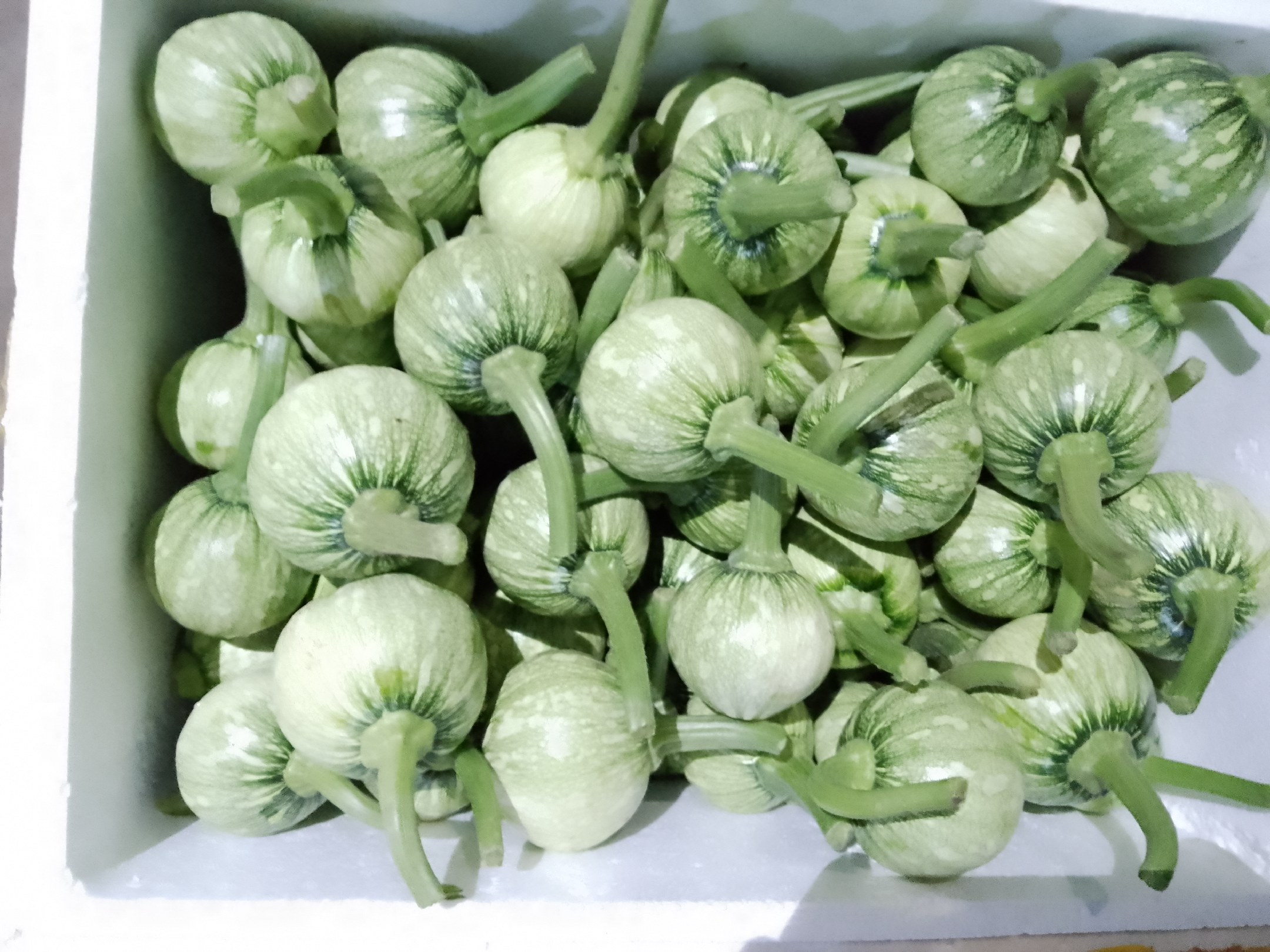 产后妈妈正在准备油菜