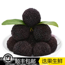 杨梅