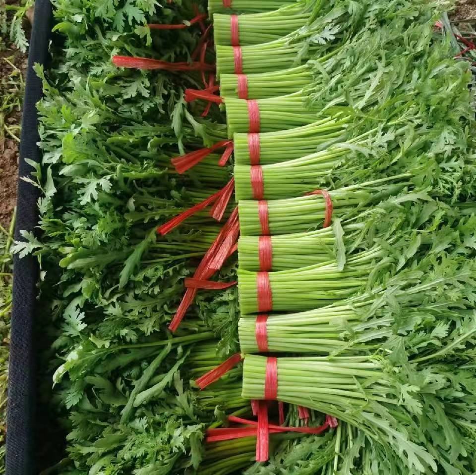 蒿子杆与其他蔬菜摆放在厨房台面上