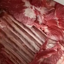 生鲜带皮驴肉厂家批发一手货源养殖基地直发