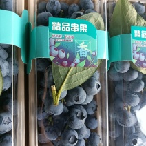 蓝莓产地直销