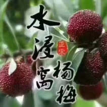 乌梅东魁
