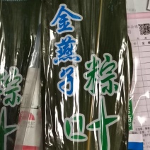 保鲜真空包装鲜粽叶量大全国发货常年有货供
