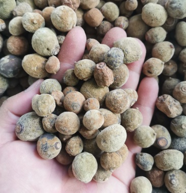 [化橘红批发]化橘红胎果 小果 产地直供 质量保证粤丰化橘红价格300.