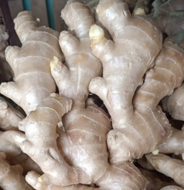 [大黄姜批发]精品风干姜价格1.00元/斤 - 一亩田