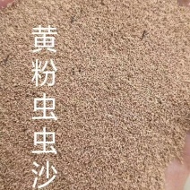 黄粉虫虫沙