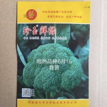 珍玉鲜绿西兰花种子早熟花蕾细密抗病抗逆性强2500株囗感