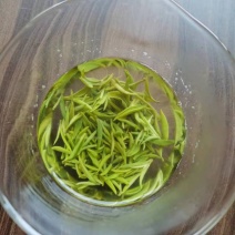 【品质保障】毛尖茶/百年珍品老树茶/明前手工高火香