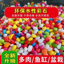七彩石头彩色小石子多肉铺面石鱼缸造景植物园艺花盆栽装饰小