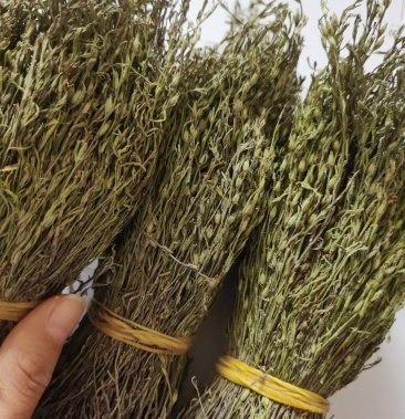 野生独脚金中草药a货短脚独脚柑草干货小儿消食