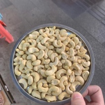 腰果仁，生腰果，去皮腰果，腰果