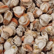 扇贝肉无泥无沙，工厂直发一手货源，量大从优，大量上市捞汁
