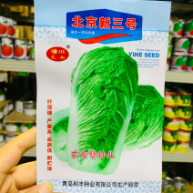 义和北京新三号大白菜种子杂交一代大白菜种籽叶深绿高产