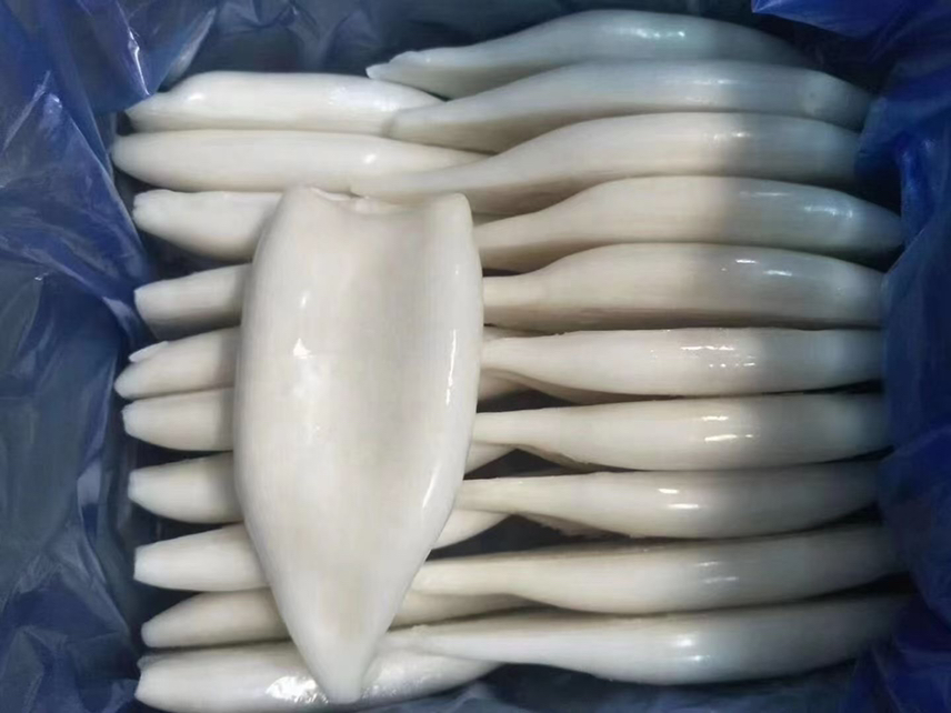 图片说明:新鲜鱿鱼与成熟哈密瓜并列摆放,展示两种食材的自然色泽与质感 鱿鱼与哈密瓜食材特写