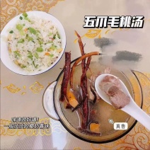 五指毛桃煲汤料