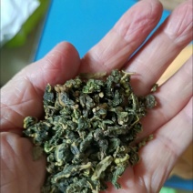 桑叶茶