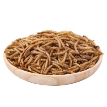 面包虫仓鼠粮食刺猬面包虫干鹦鹉零食黄粉鸟食鱼食石蛙乌龟主