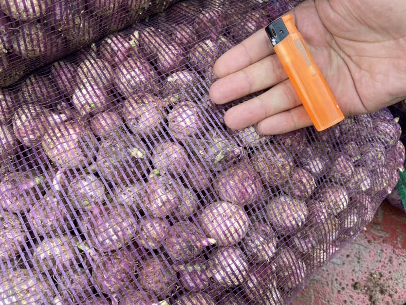 野生小独头蒜深加工产品展示