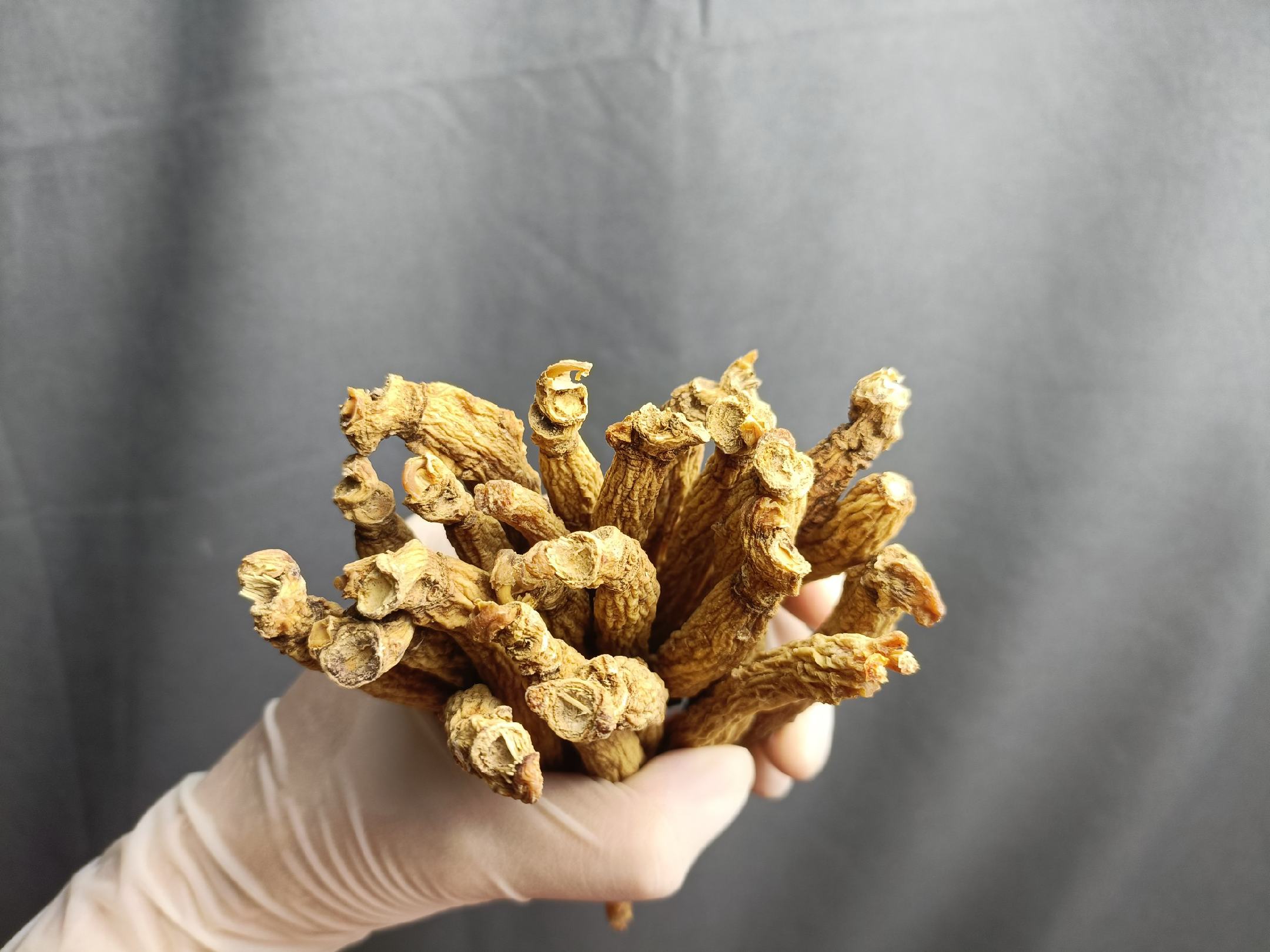 红人参与白人参实物对比图,展示两者颜色、质地差异 红人参与白人参对比图
