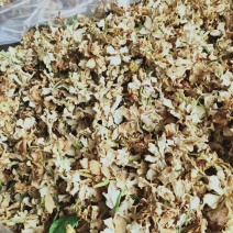 栀子花干