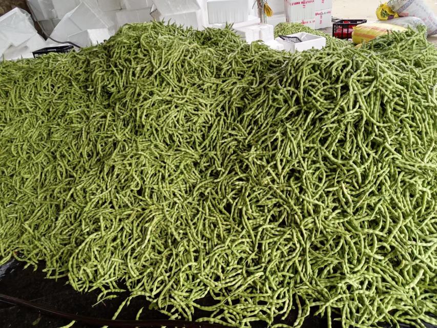 大豆纤维被产品展示