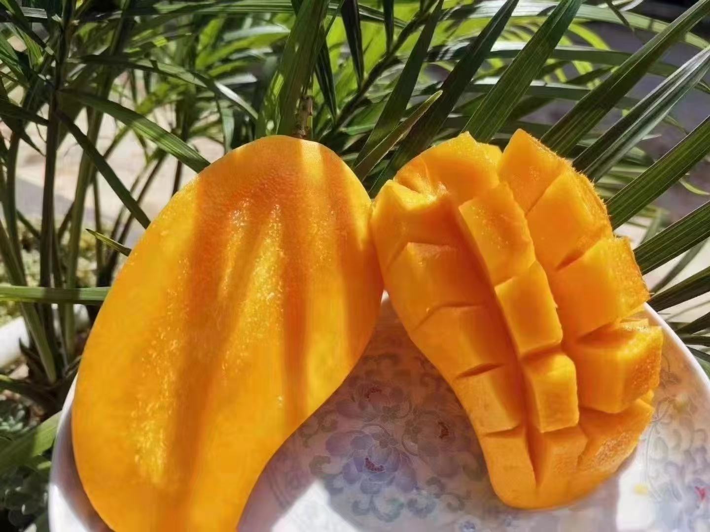 鹰嘴芒果果肉切片