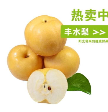 山东冠县丰水梨产地直供可对接全国各大电商平台