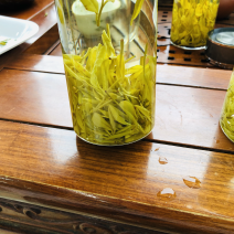 黄金叶茶2026年黄金叶茶叶批发包邮