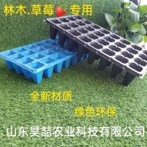 穴盘，育苗穴盘，各种各样蔬菜育苗穴盘，现货供应中