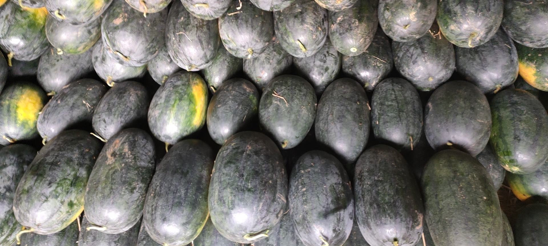 场景化组图：左侧为年轻女性笑着举起半颗切开的美都西瓜，露出饱满红瓤；右侧为透明玻璃餐盒分装四块等大三角瓜块，盒盖凝结水珠，背景虚化呈现现代简约厨房