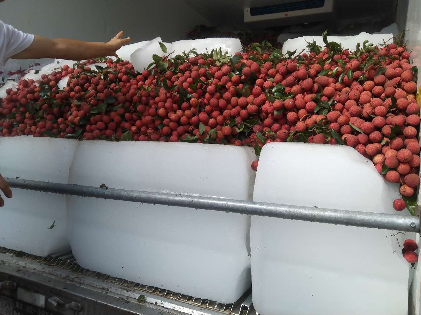桂味荔枝专用冷链车内部实拍:双温区设计(上层0–2℃保鲜,下层5–8℃预冷),货厢内壁覆铝箔气凝胶保温层,每托盘嵌入蓝牙温湿度传感器(实时上传至云平台),车厢门贴有‘桂味荔枝·48h鲜达’溯源二维码 桂味荔枝冷链运输车辆装载现场