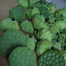 鲜莲子