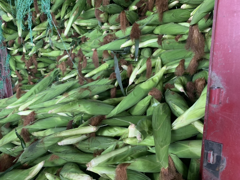 市场上的新鲜甜玉米