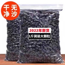 新货精品桑葚干野干净无沙免洗桑葚干黑桑葚零食大颗粒泡水