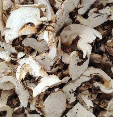 [白芍批发]熟狗头片高含量低价位好保存量大价格从优价格6.